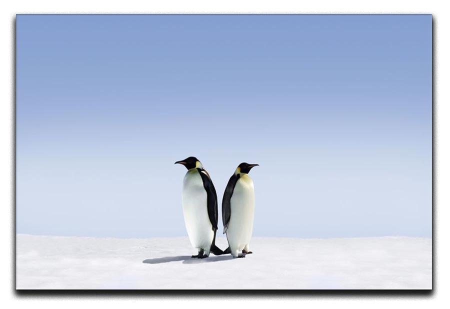 Penguins dont know where to go Canvas Print or Poster - Canvas Art Rocks - 1
