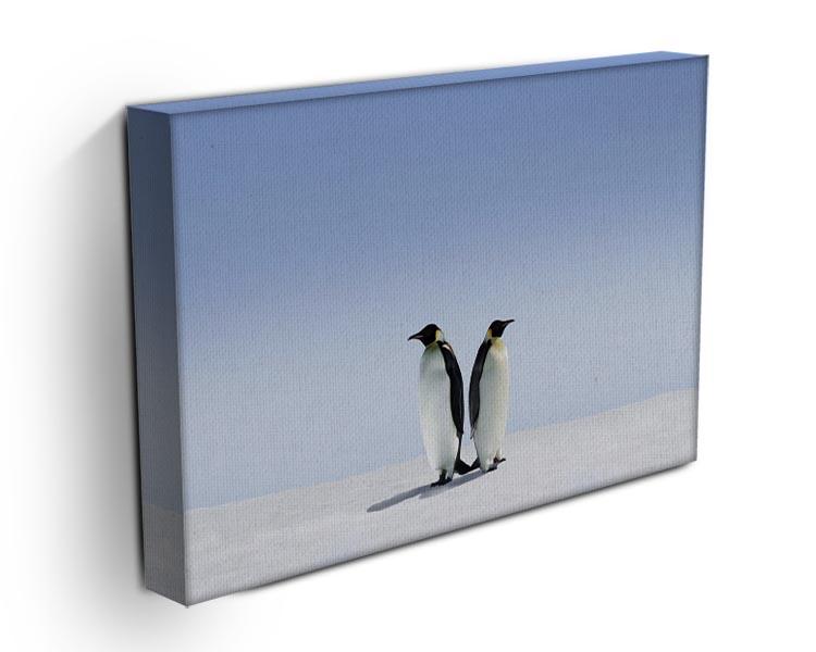 Penguins dont know where to go Canvas Print or Poster - Canvas Art Rocks - 3