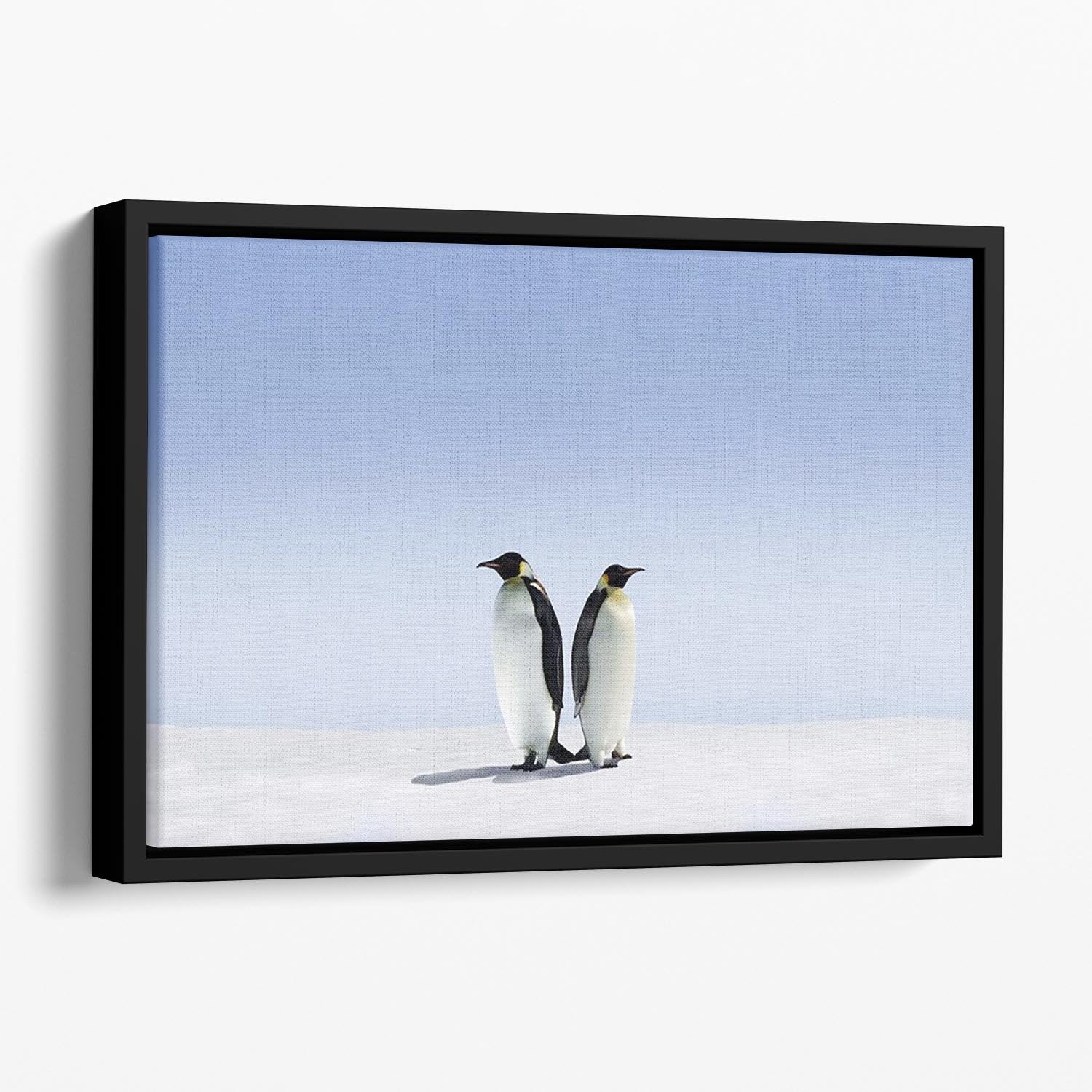 Penguins dont know where to go Floating Framed Canvas - Canvas Art Rocks - 1