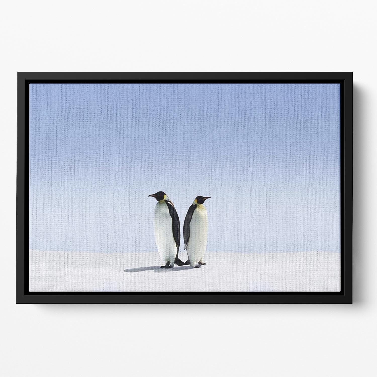 Penguins dont know where to go Floating Framed Canvas - Canvas Art Rocks - 2