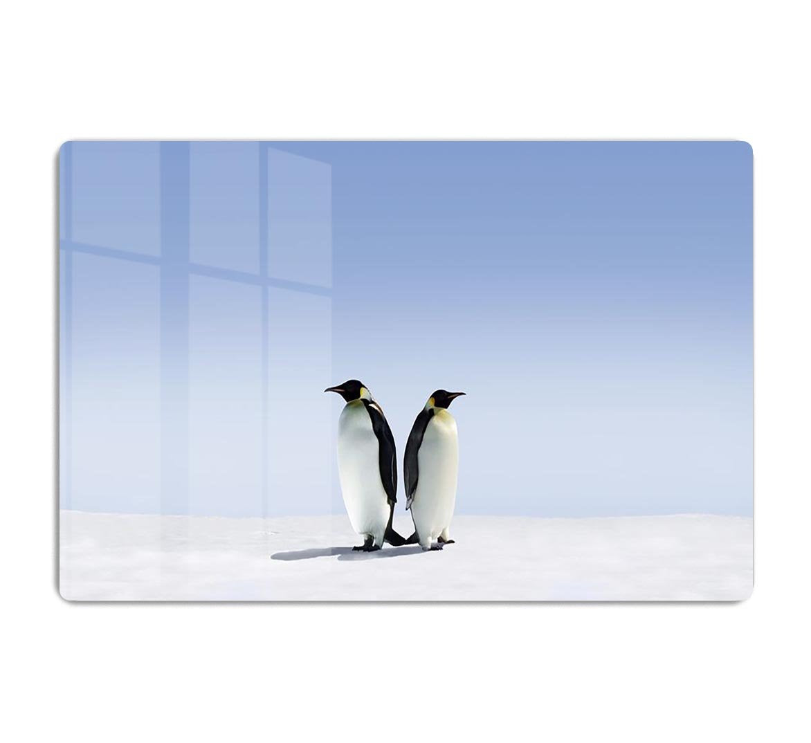 Penguins dont know where to go HD Metal Print - Canvas Art Rocks - 1