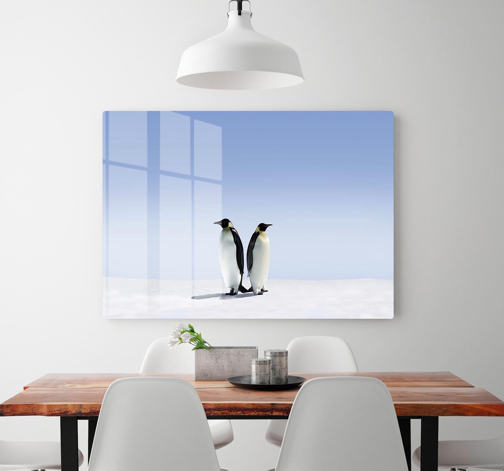 Penguins dont know where to go HD Metal Print - Canvas Art Rocks - 2