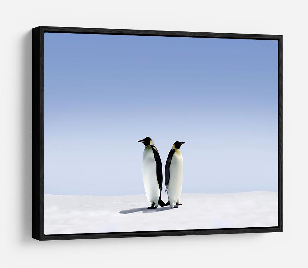 Penguins dont know where to go HD Metal Print - Canvas Art Rocks - 6