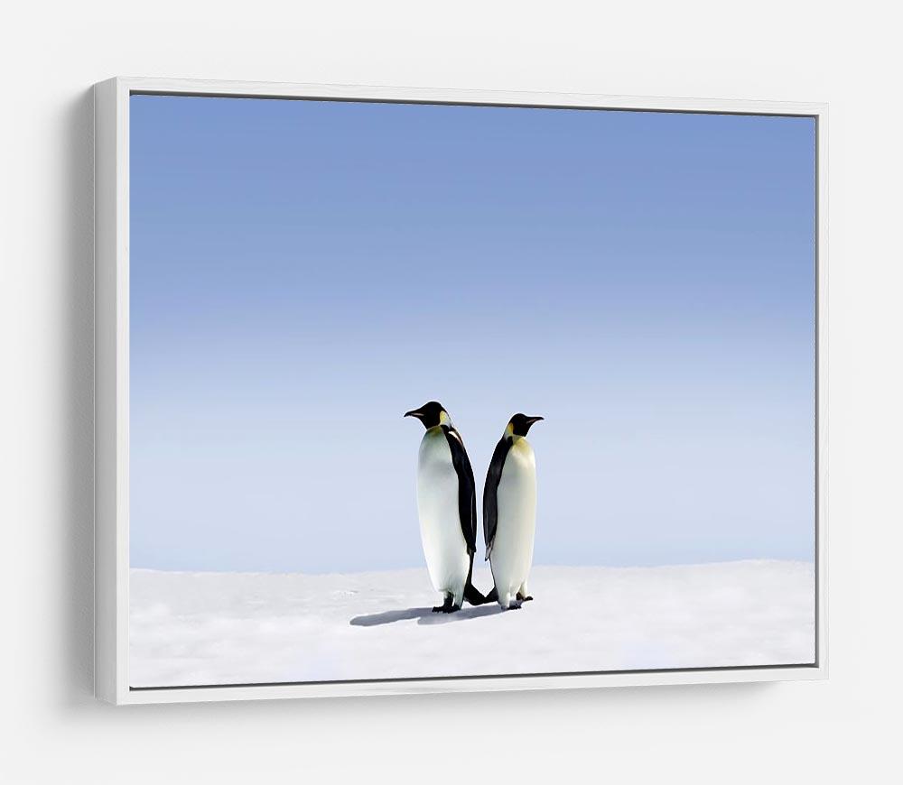 Penguins dont know where to go HD Metal Print - Canvas Art Rocks - 7