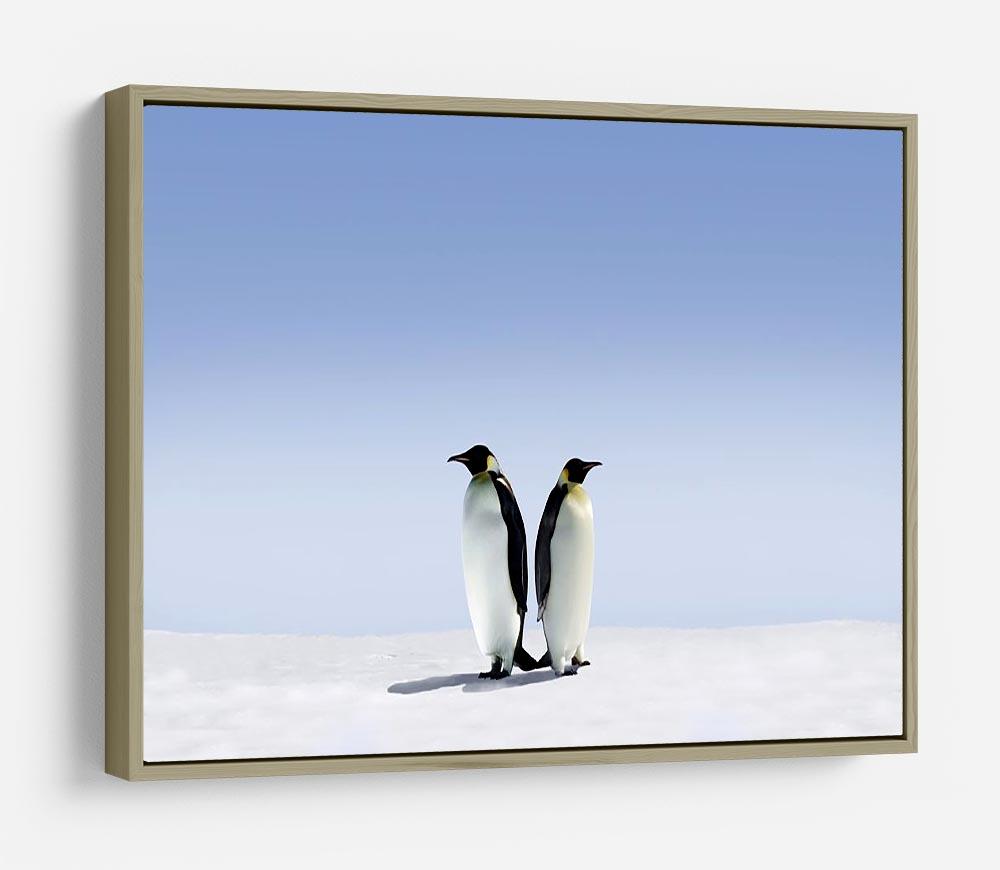 Penguins dont know where to go HD Metal Print - Canvas Art Rocks - 8