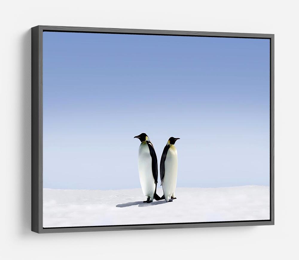 Penguins dont know where to go HD Metal Print - Canvas Art Rocks - 9