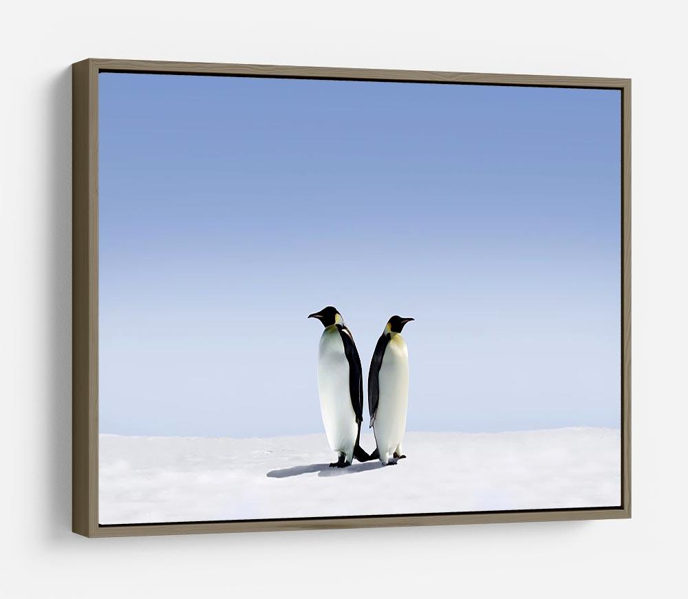 Penguins dont know where to go HD Metal Print - Canvas Art Rocks - 10