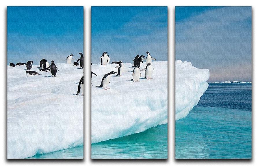 Penguins on Iceberg 3 Split Panel Canvas Print - Canvas Art Rocks - 1