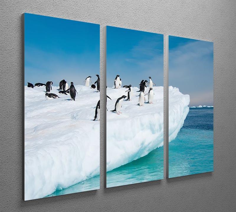 Penguins on Iceberg 3 Split Panel Canvas Print - Canvas Art Rocks - 2