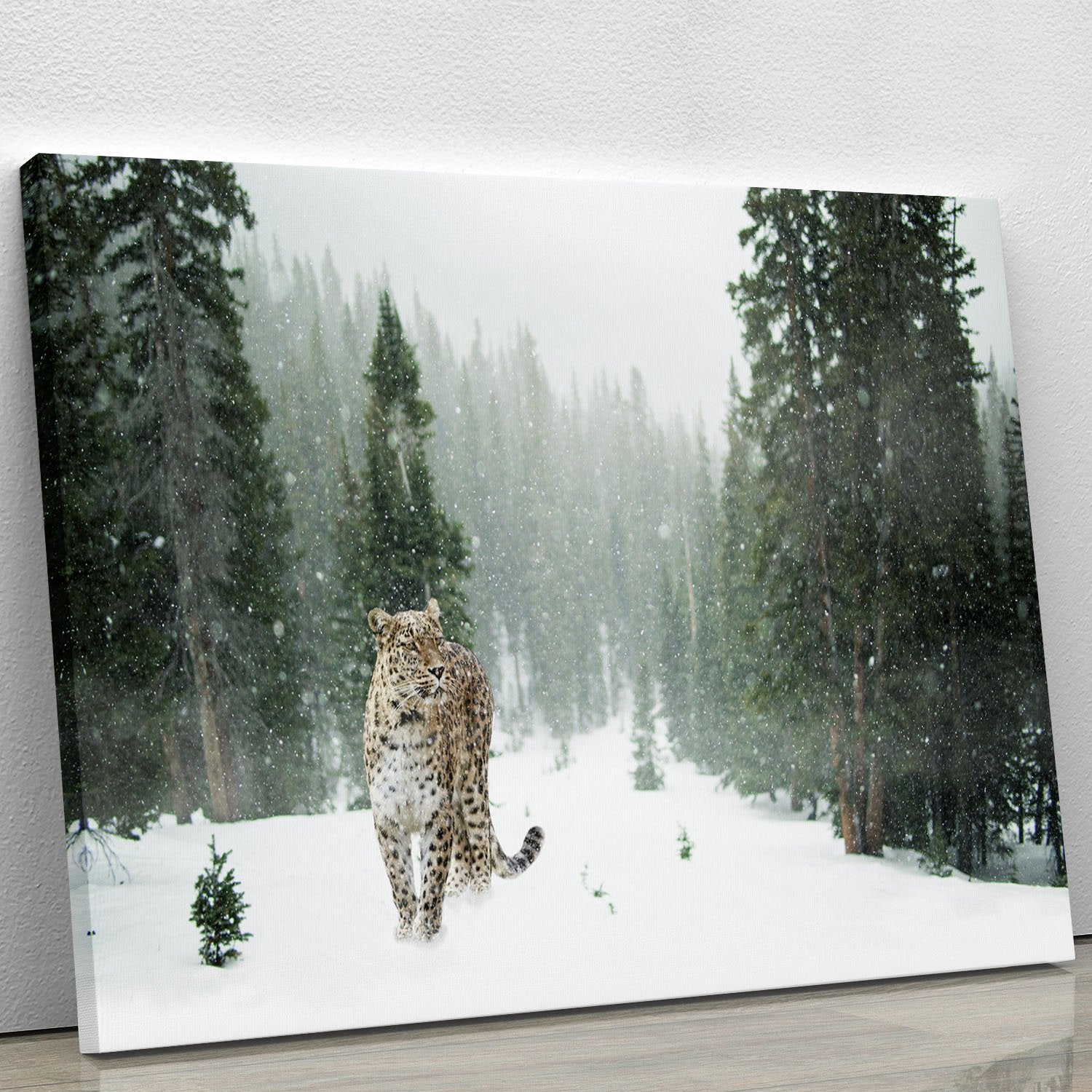 Persian Leopard Canvas Print or Poster