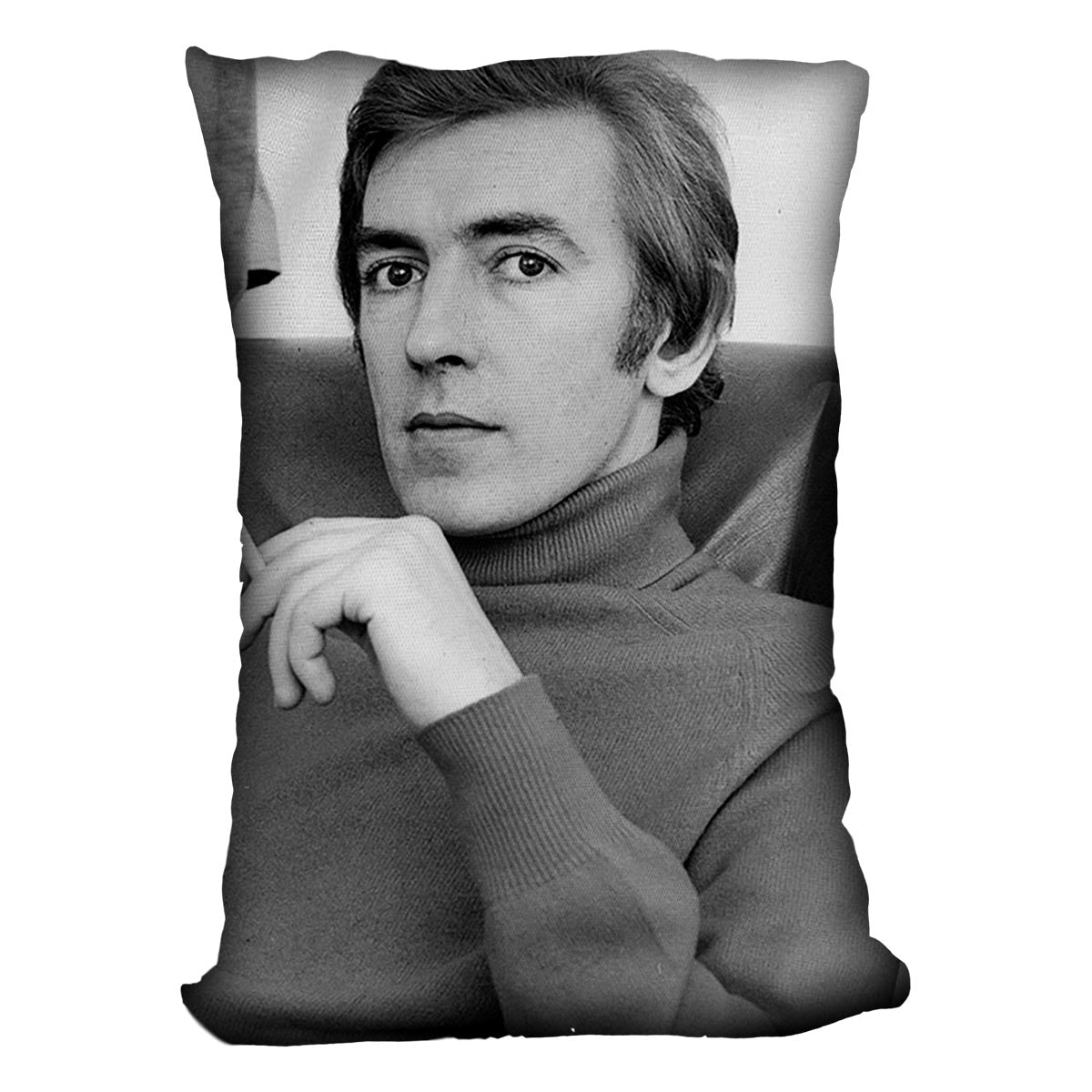 Peter Cook Cushion