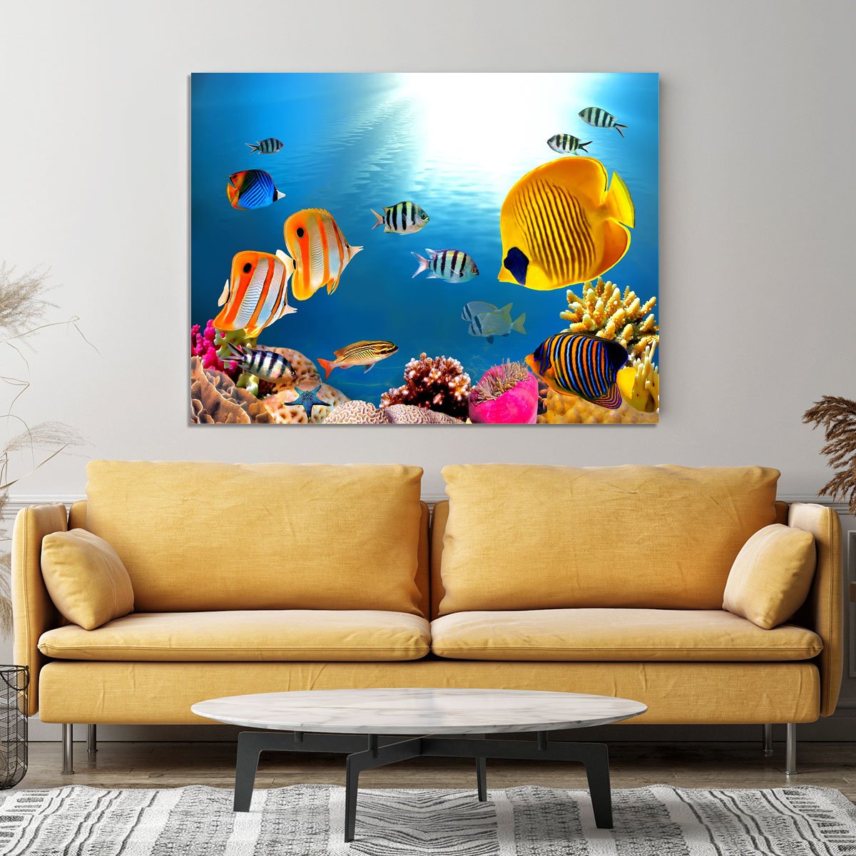 Photo of a coral colony Canvas Print or Poster