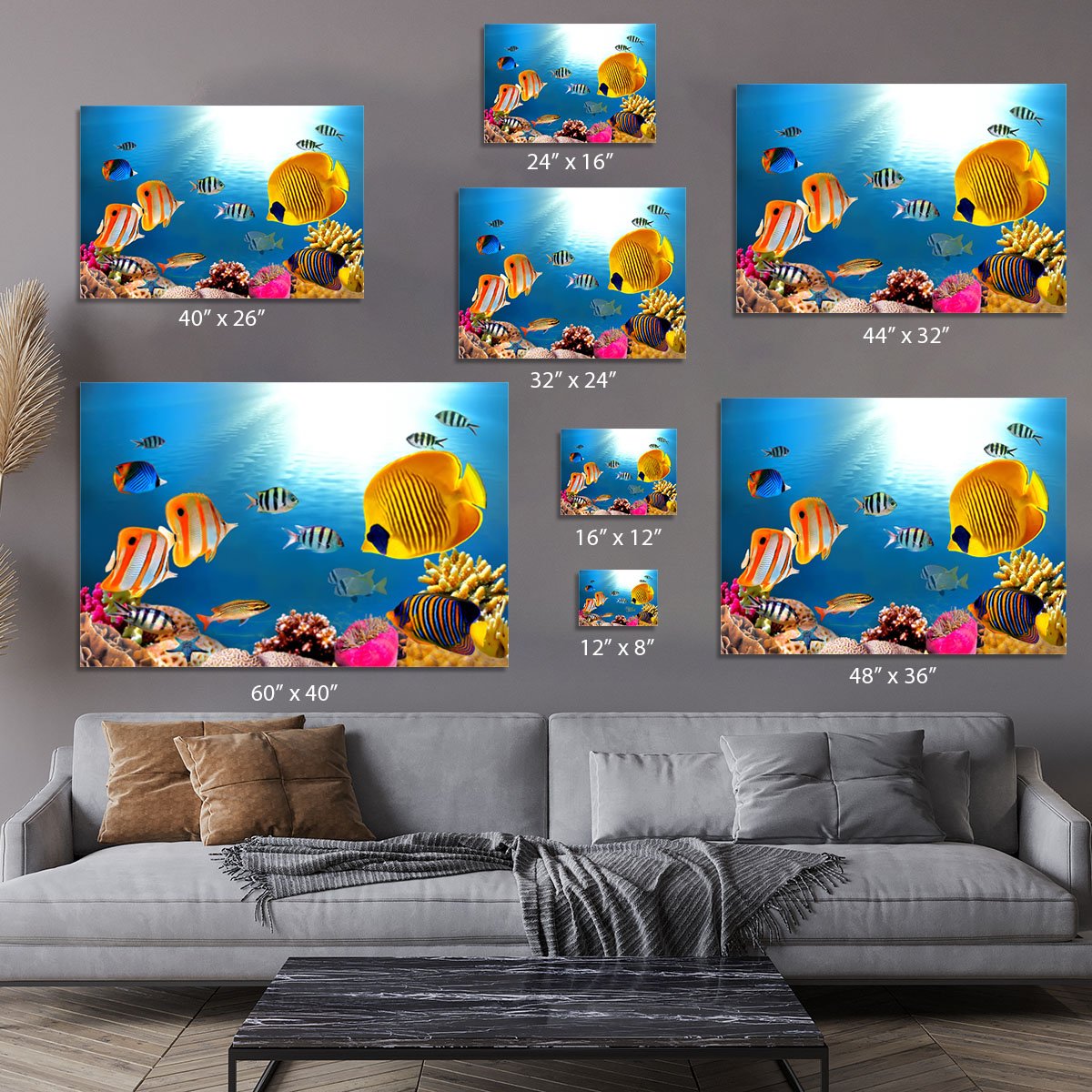 Photo of a coral colony Canvas Print or Poster