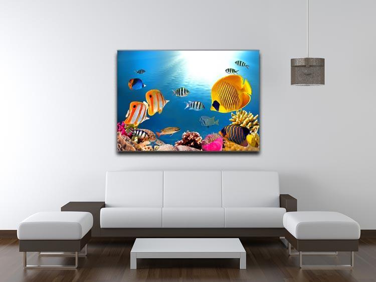 Photo of a coral colony Canvas Print or Poster - Canvas Art Rocks - 4