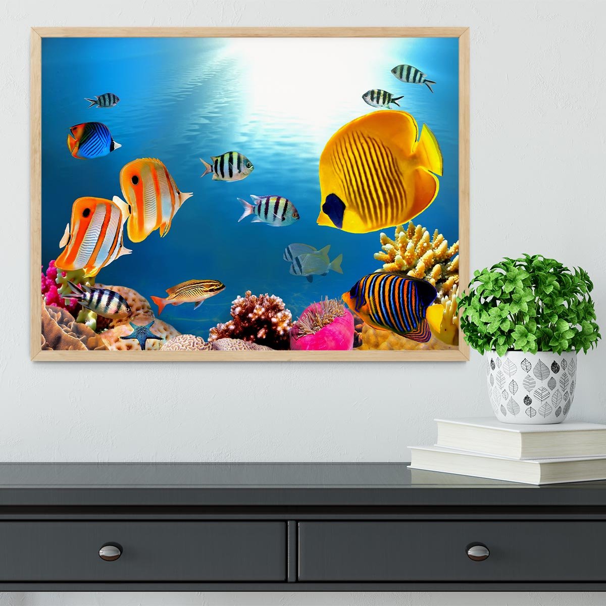 Photo of a coral colony Framed Print - Canvas Art Rocks - 4