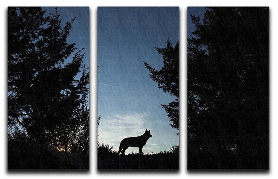 Picture of a wolf dog at dusk. 3 Split Panel Canvas Print - Canvas Art Rocks - 1