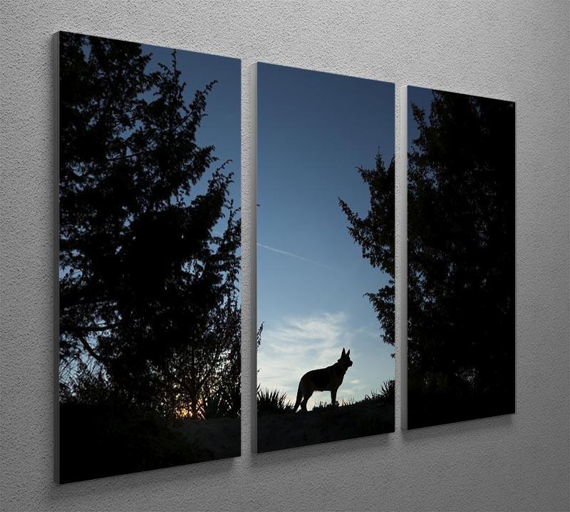Picture of a wolf dog at dusk. 3 Split Panel Canvas Print - Canvas Art Rocks - 2