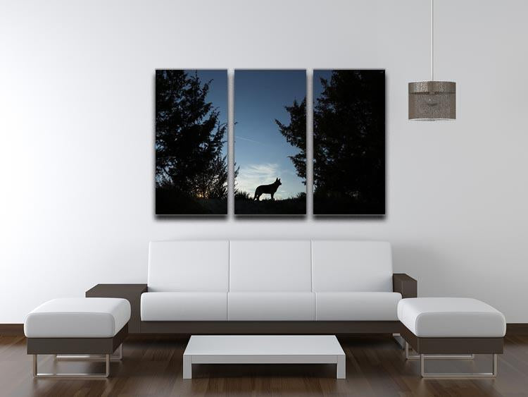 Picture of a wolf dog at dusk. 3 Split Panel Canvas Print - Canvas Art Rocks - 3
