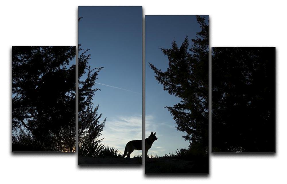 Picture of a wolf dog at dusk. 4 Split Panel Canvas - Canvas Art Rocks - 1