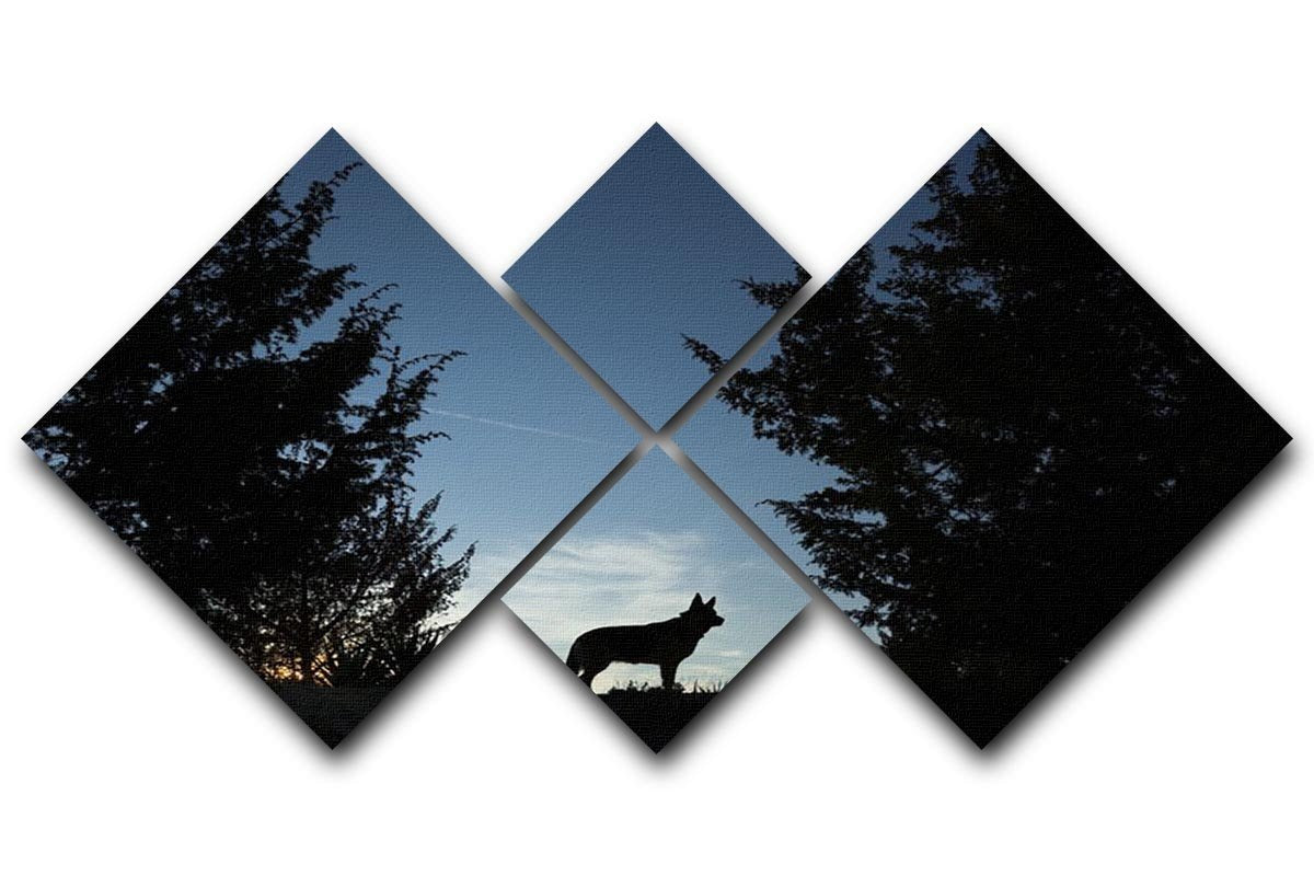 Picture of a wolf dog at dusk. 4 Square Multi Panel Canvas - Canvas Art Rocks - 1