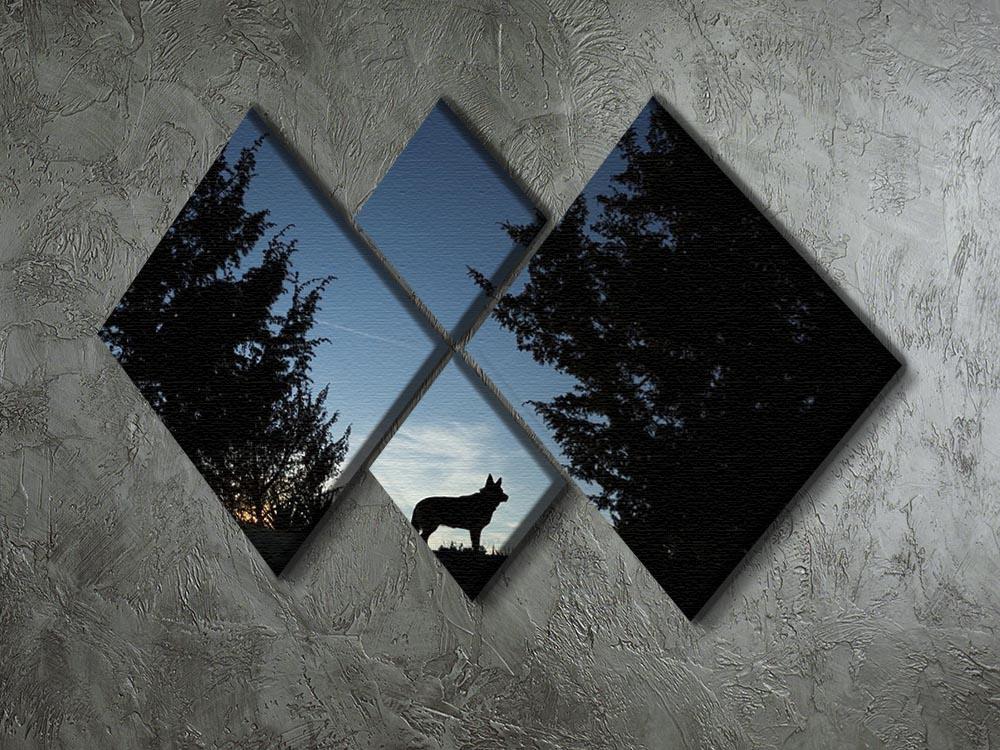 Picture of a wolf dog at dusk. 4 Square Multi Panel Canvas - Canvas Art Rocks - 2