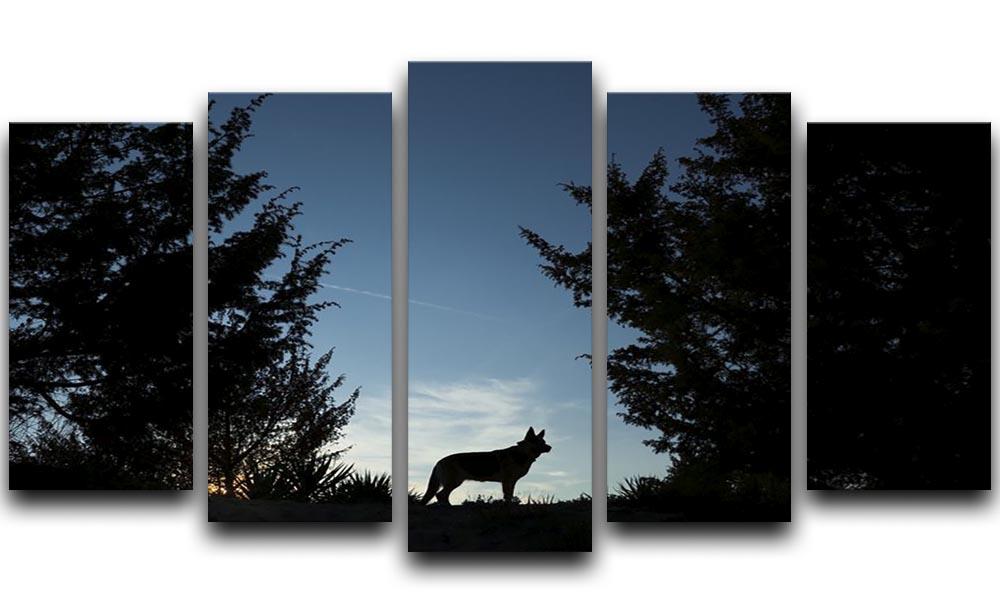 Picture of a wolf dog at dusk. 5 Split Panel Canvas - Canvas Art Rocks - 1