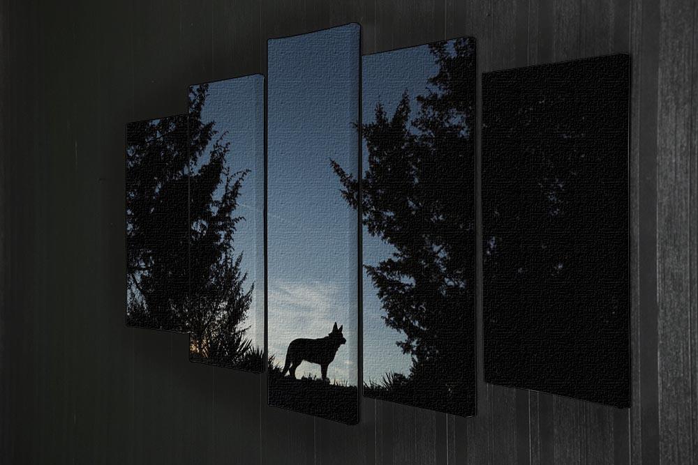 Picture of a wolf dog at dusk. 5 Split Panel Canvas - Canvas Art Rocks - 2