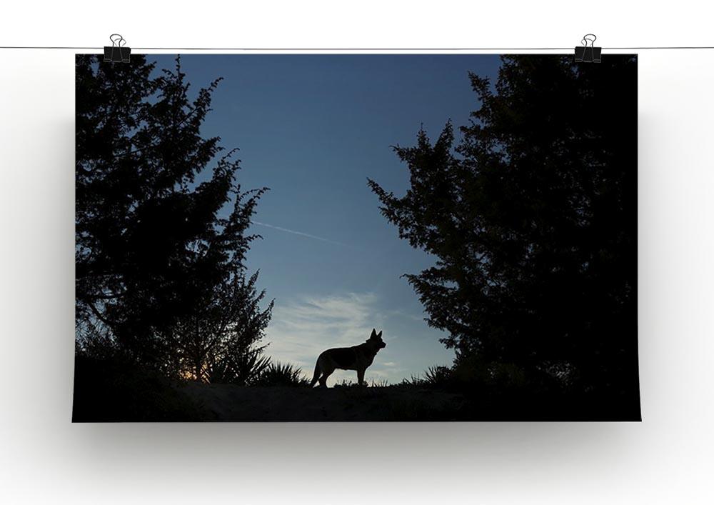 Picture of a wolf dog at dusk. Canvas Print or Poster - Canvas Art Rocks - 2