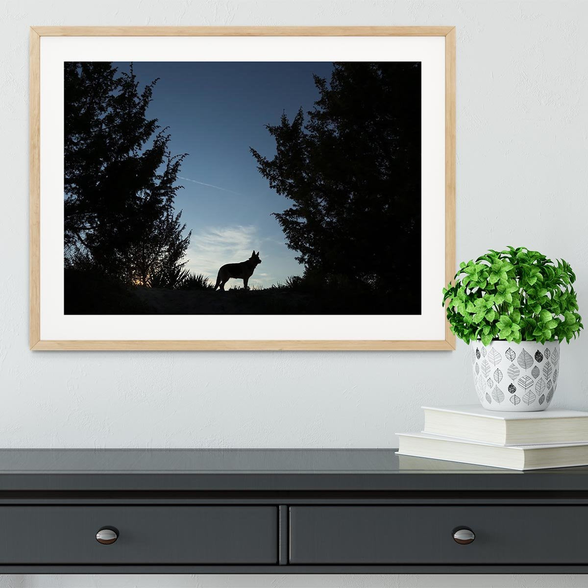 Picture of a wolf dog at dusk. Framed Print - Canvas Art Rocks - 3