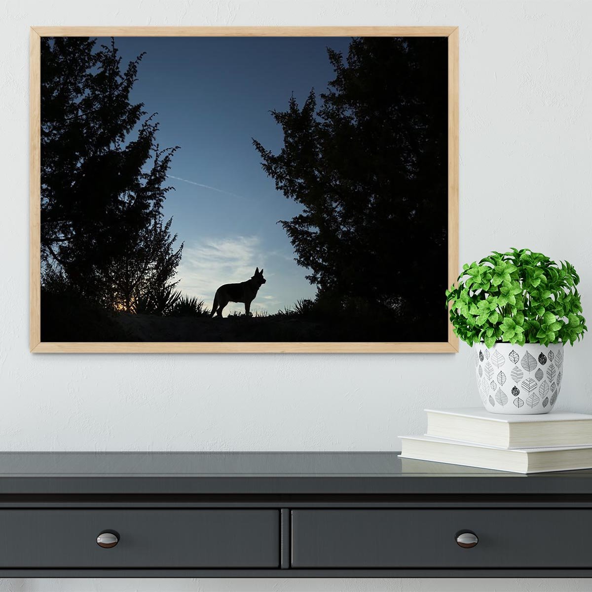 Picture of a wolf dog at dusk. Framed Print - Canvas Art Rocks - 4