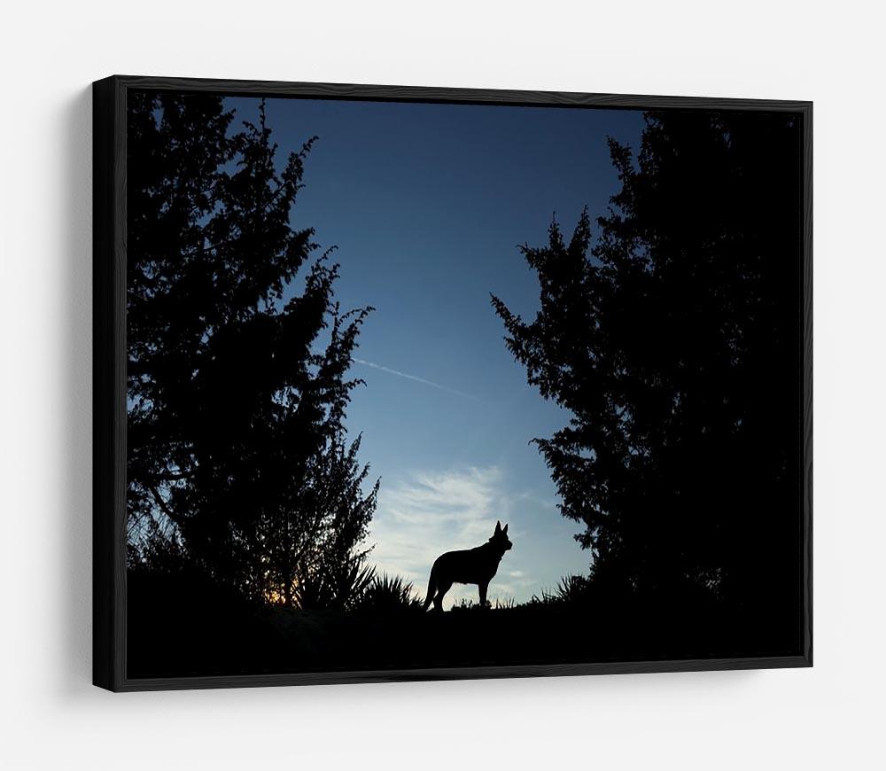 Picture of a wolf dog at dusk. HD Metal Print - Canvas Art Rocks - 6