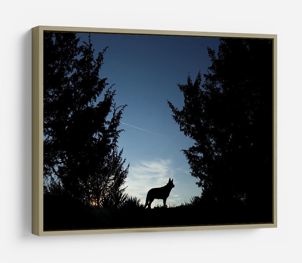 Picture of a wolf dog at dusk. HD Metal Print - Canvas Art Rocks - 8