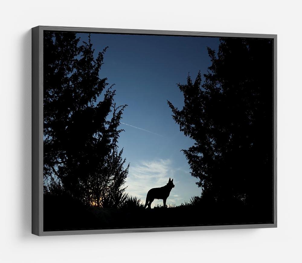 Picture of a wolf dog at dusk. HD Metal Print - Canvas Art Rocks - 9