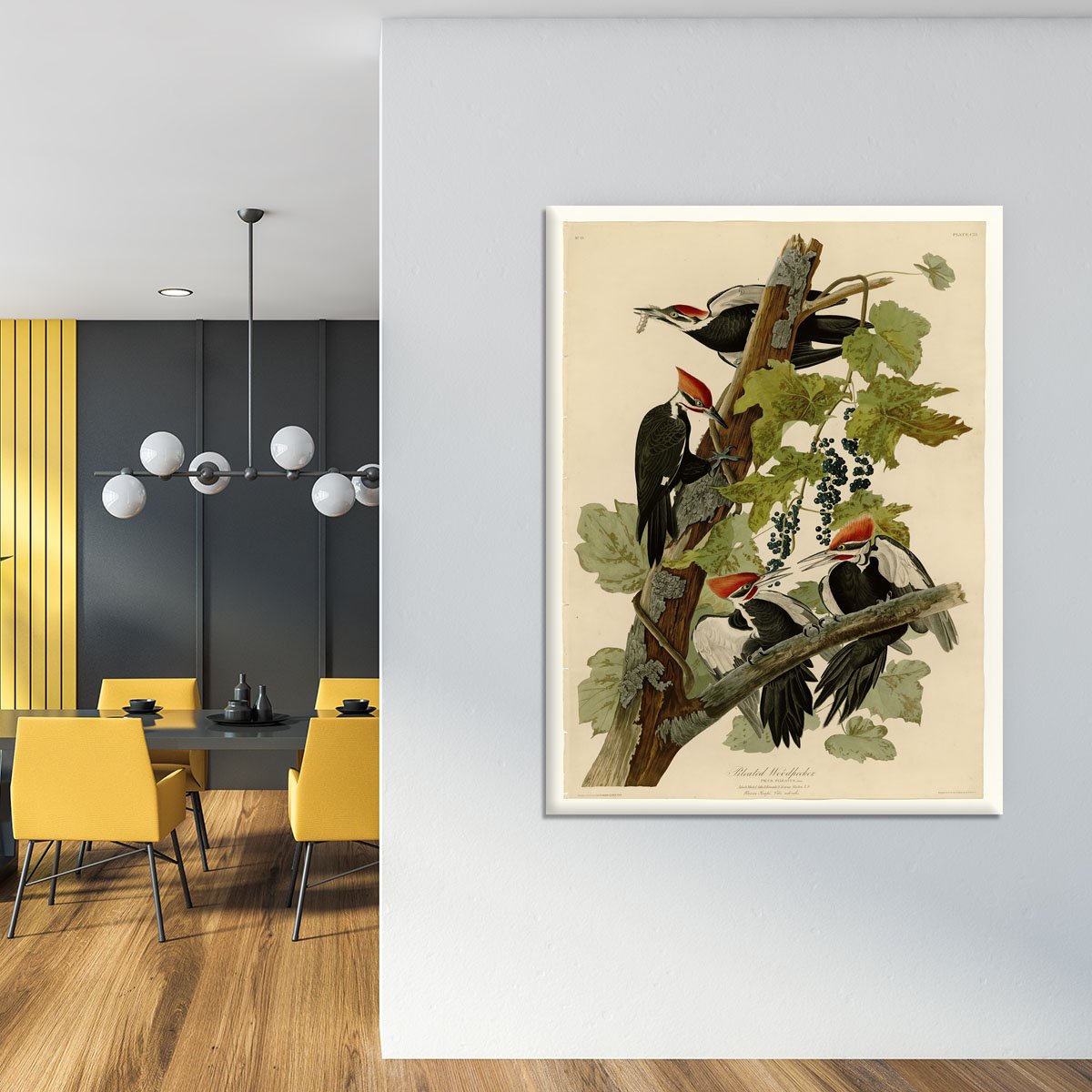 Pileated Woodpecker by Audubon Canvas Print or Poster