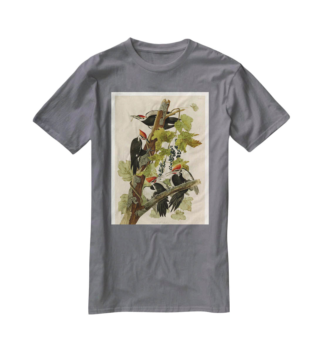 Pileated Woodpecker by Audubon T-Shirt - Canvas Art Rocks - 3