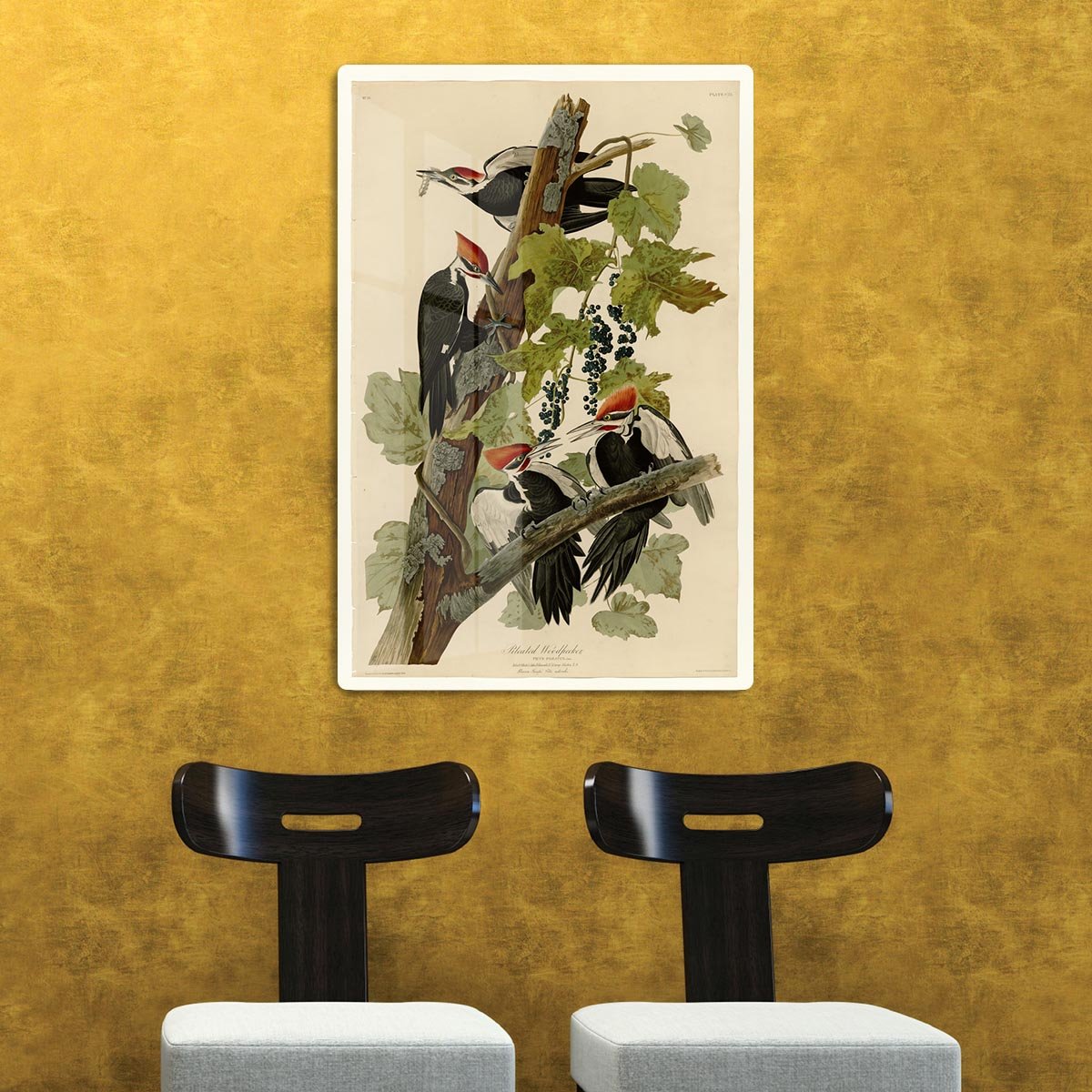 Pileated Woodpecker by Audubon HD Metal Print - Canvas Art Rocks - 2