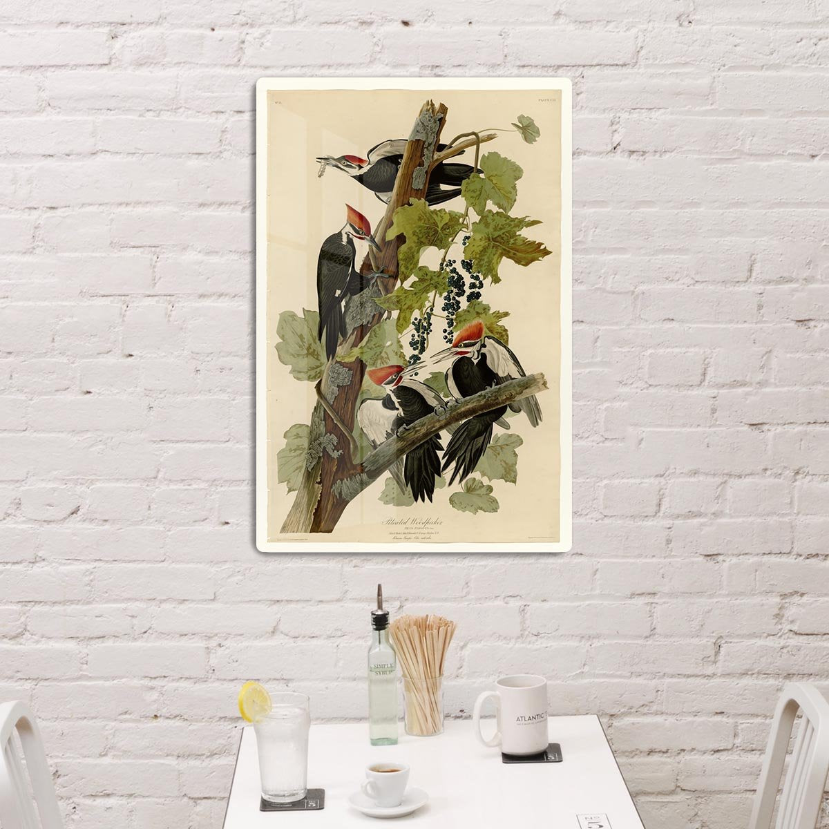 Pileated Woodpecker by Audubon HD Metal Print - Canvas Art Rocks - 3