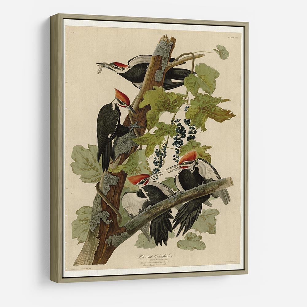Pileated Woodpecker by Audubon HD Metal Print - Canvas Art Rocks - 8