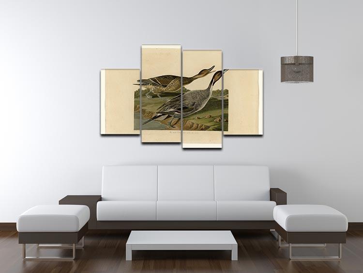 Pin tailed Duck by Audubon 4 Split Panel Canvas - Canvas Art Rocks - 3