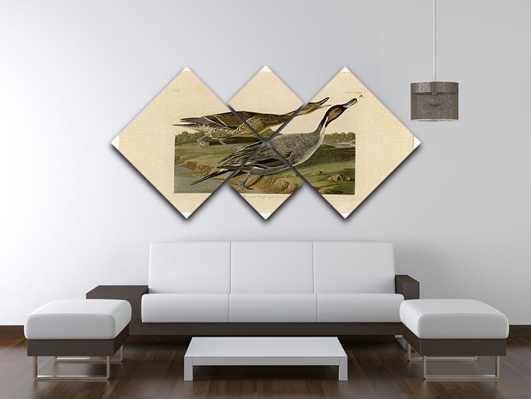 Pin tailed Duck by Audubon 4 Square Multi Panel Canvas - Canvas Art Rocks - 3
