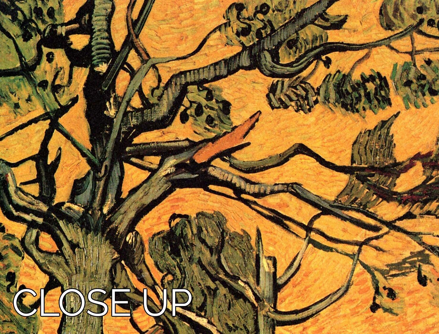 Pine Trees against a Red Sky with Setting Sun by Van Gogh 3 Split Panel Canvas Print - Canvas Art Rocks - 3