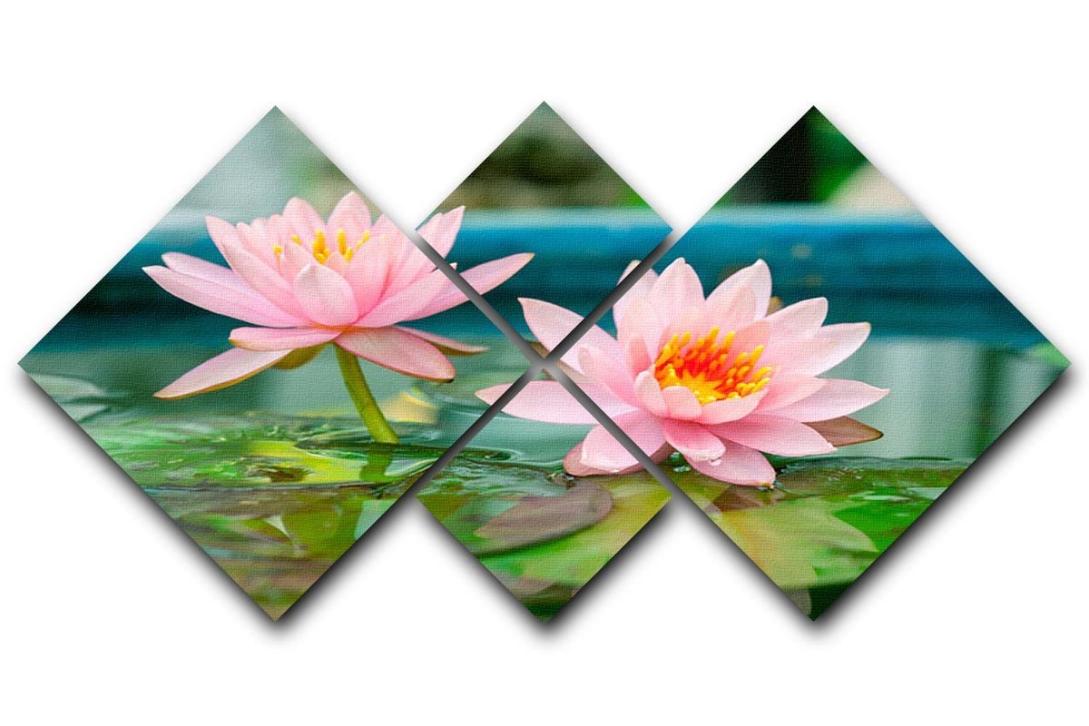 Pink Lotus or water lily in pond 4 Square Multi Panel Canvas  - Canvas Art Rocks - 1