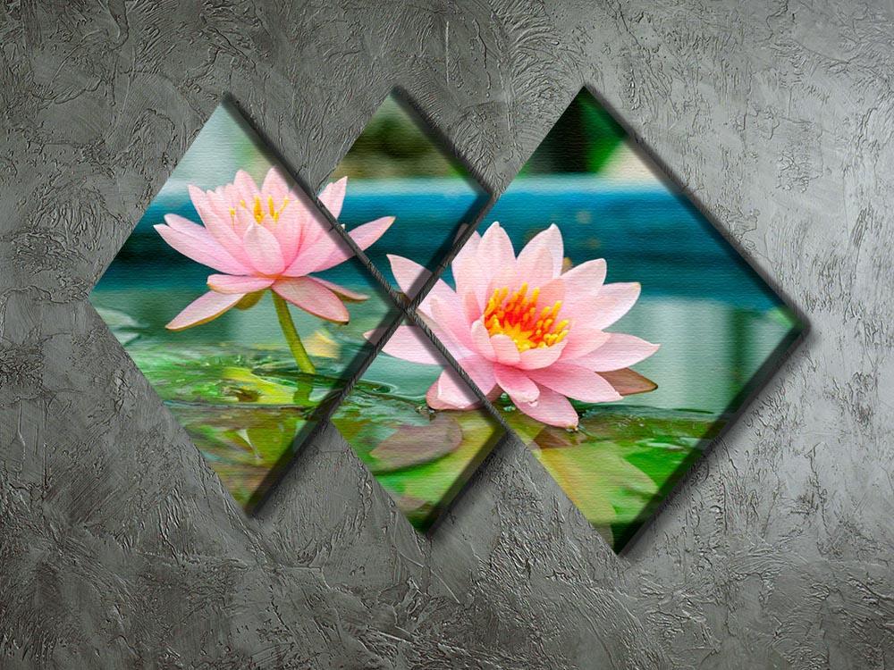 Pink Lotus or water lily in pond 4 Square Multi Panel Canvas  - Canvas Art Rocks - 2