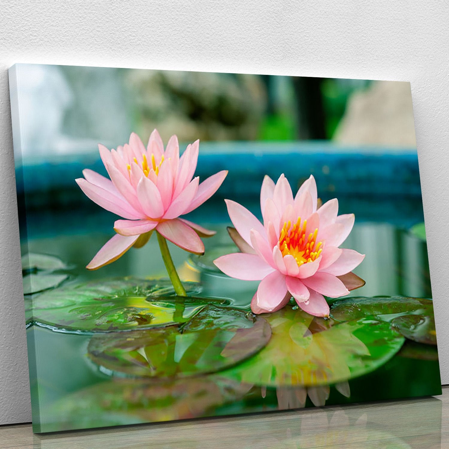 Pink Lotus or water lily in pond Canvas Print or Poster