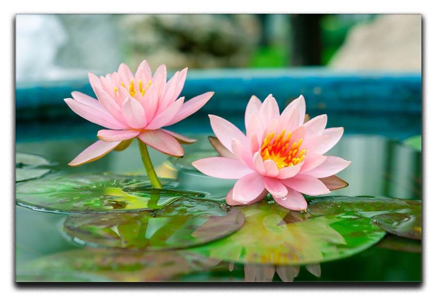 Pink Lotus or water lily in pond Canvas Print or Poster  - Canvas Art Rocks - 1