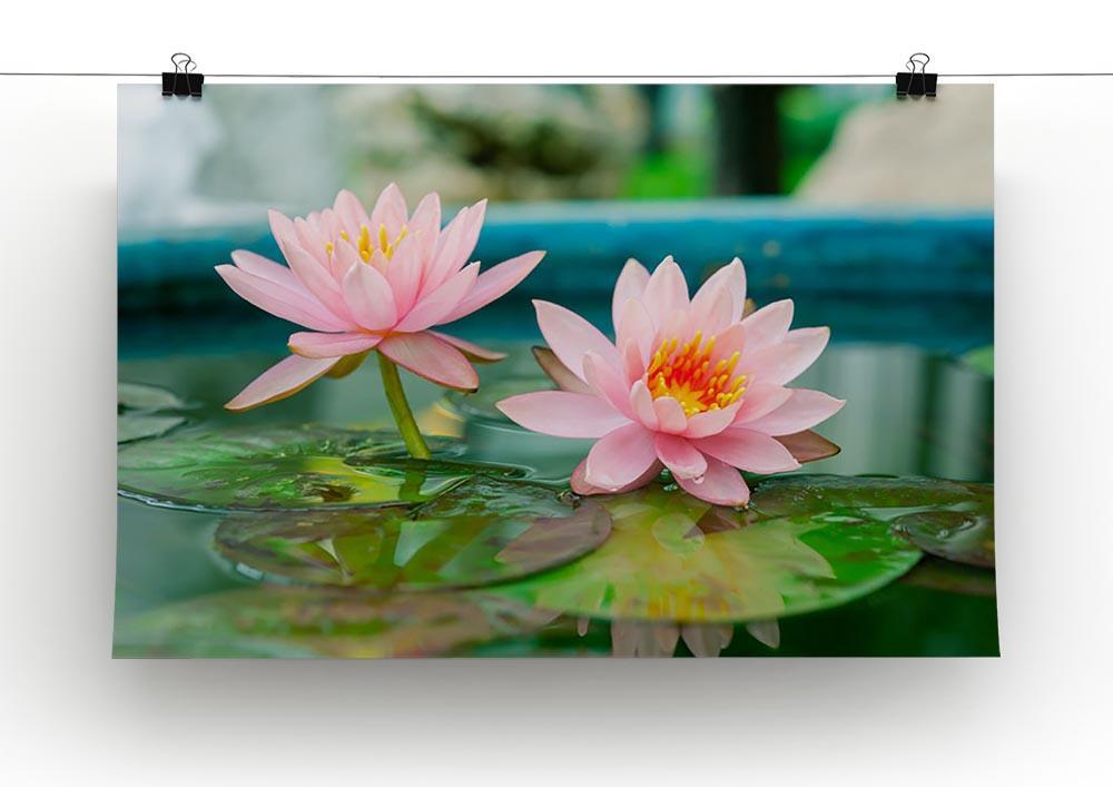 Pink Lotus or water lily in pond Canvas Print or Poster - Canvas Art Rocks - 2