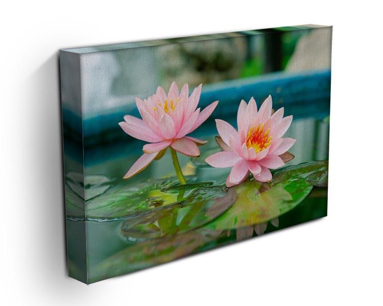 Pink Lotus or water lily in pond Canvas Print or Poster - Canvas Art Rocks - 3