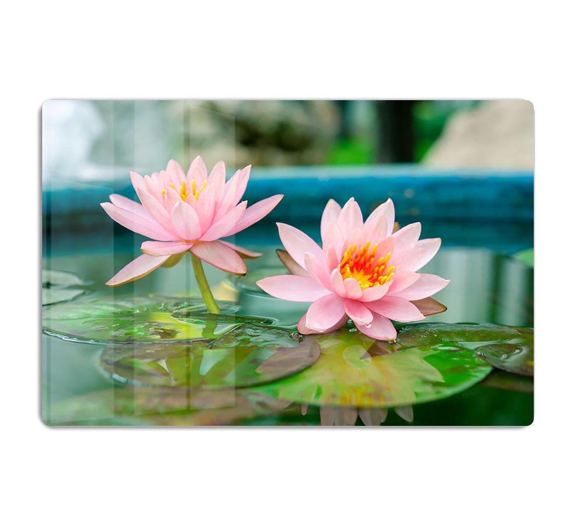 Pink Lotus or water lily in pond HD Metal Print
