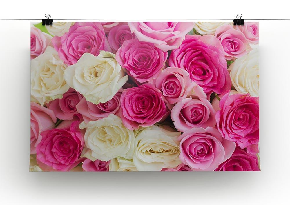 Pink and white fresh rose flowers Canvas Print or Poster - Canvas Art Rocks - 2