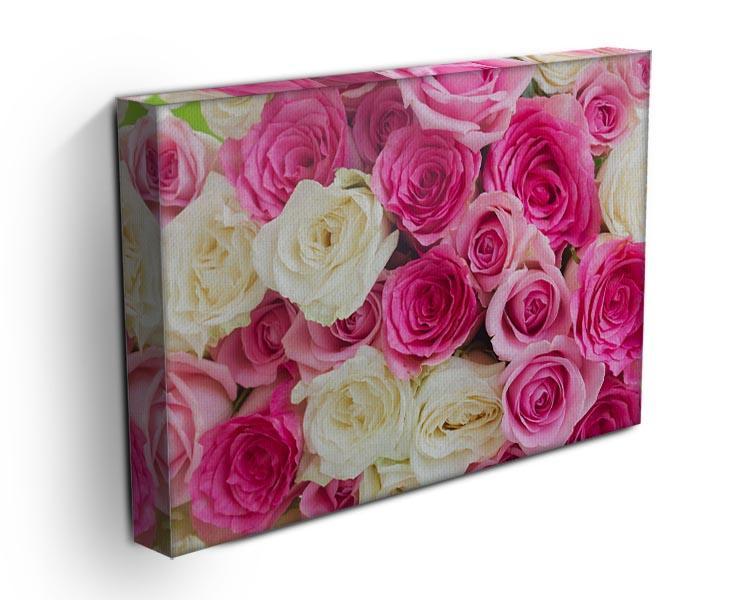 Pink and white fresh rose flowers Canvas Print or Poster - Canvas Art Rocks - 3